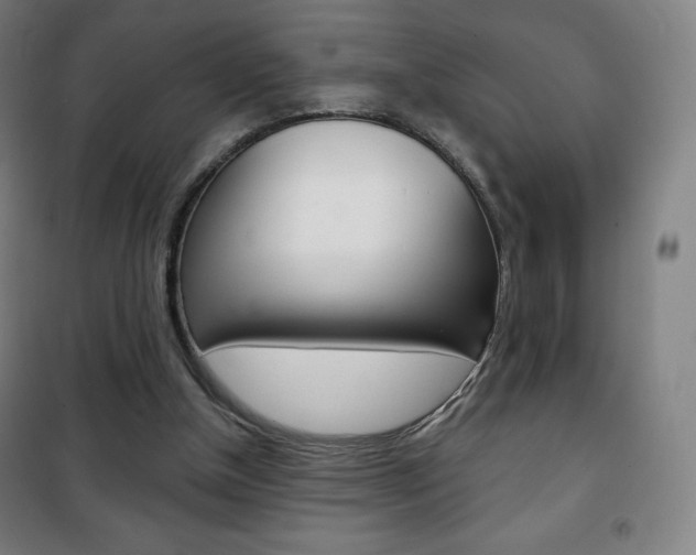 X0000101700154200807101354