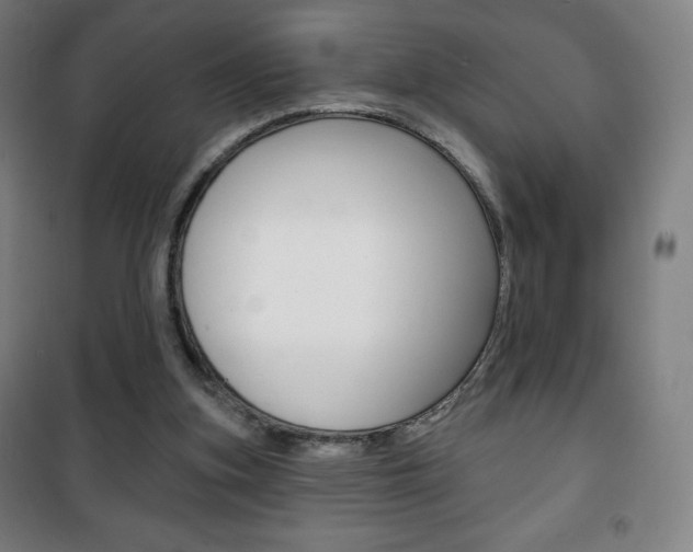 X0000101700155200807101354