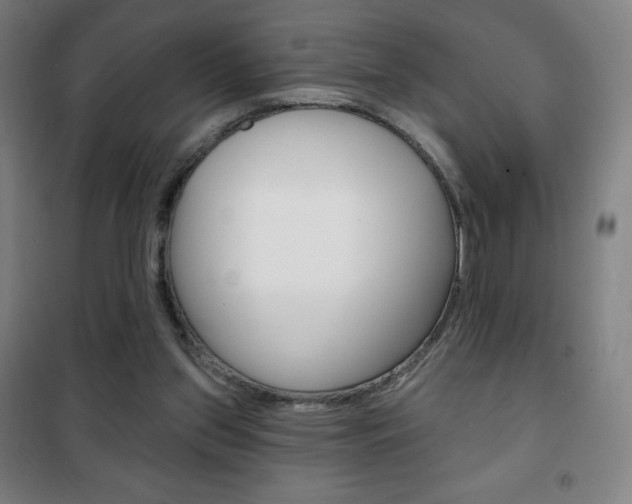 X0000101700157200807101354