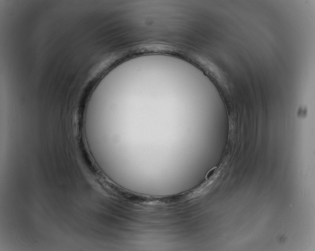 X0000101700158200807101354