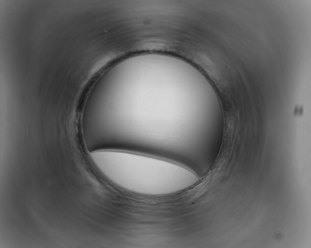 X0000101700160200807101354