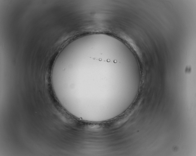 X0000101700161200807101354