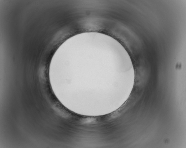 X0000101700162200807101354