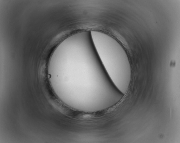 X0000101700163200807101354