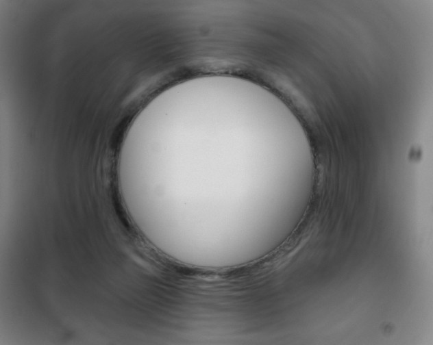 X0000101700165200807101354