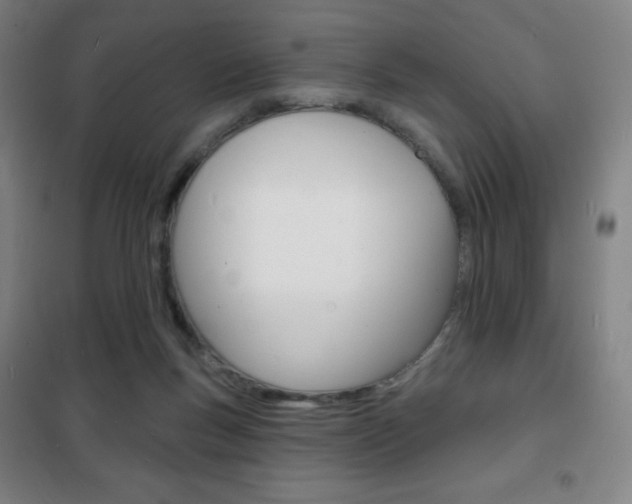 X0000101700167200807101354