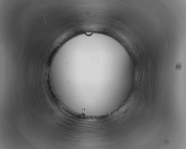 X0000101700168200807101354