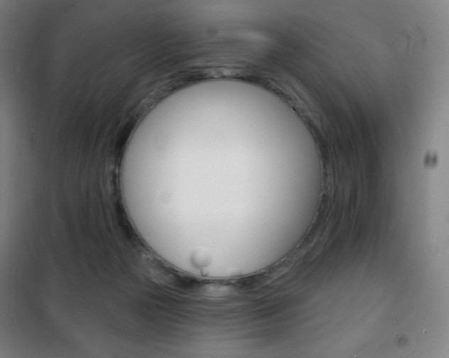 X0000101700169200807101354