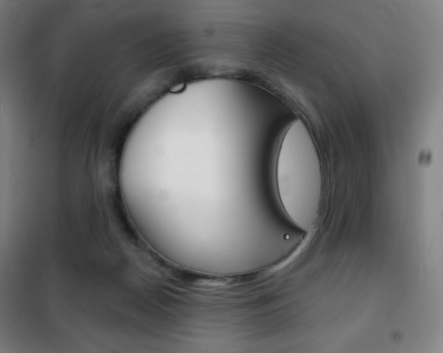 X0000101700170200807101354