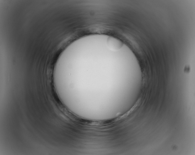 X0000101700171200807101354