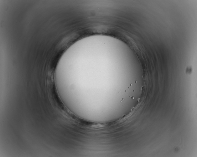X0000101700172200807101354