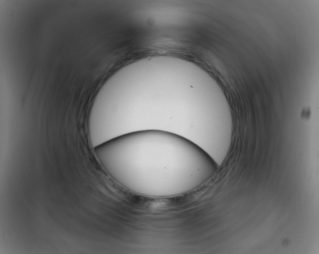 X0000101700173200807101354