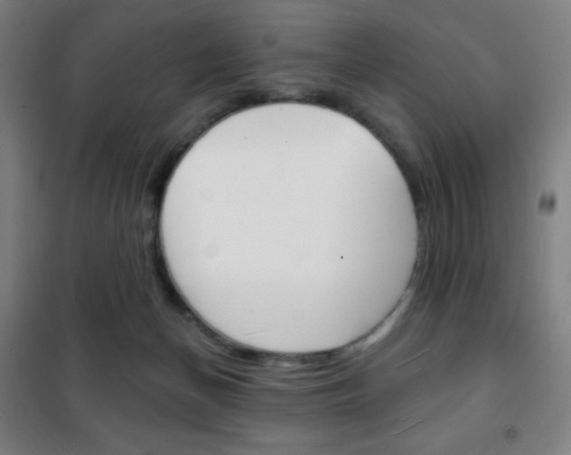 X0000101700174200807101354