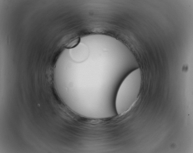 X0000101700175200807101354
