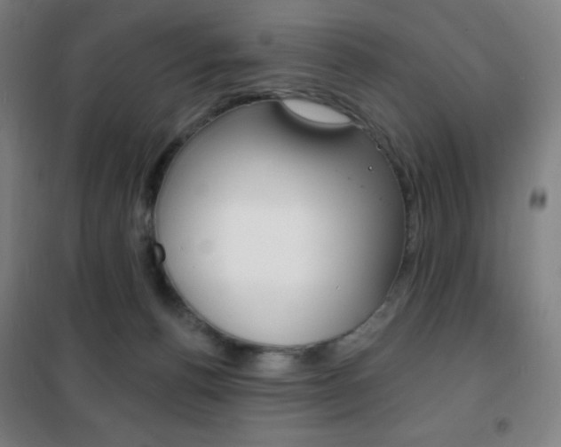 X0000101700176200807101354