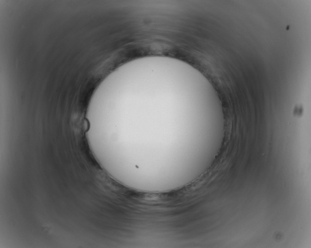 X0000101700177200807101354