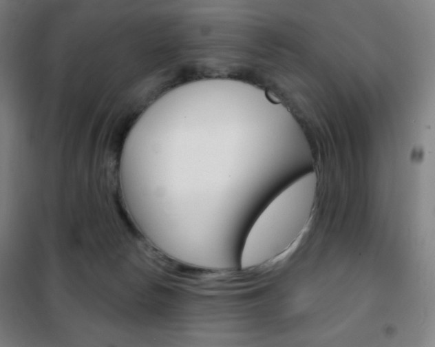 X0000101700178200807101354