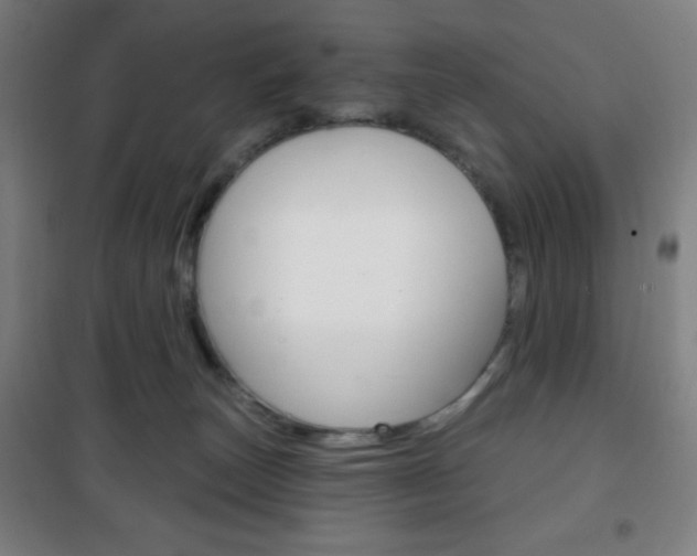 X0000101700179200807101354