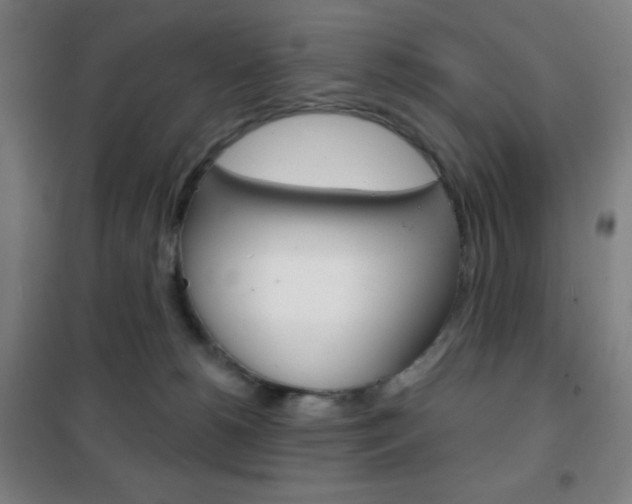 X0000101700180200807101354