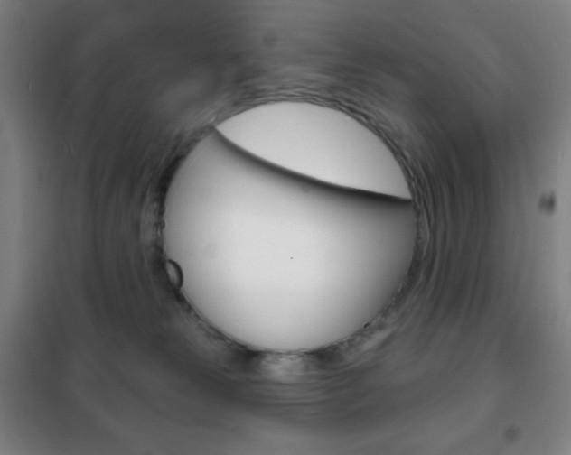 X0000101700181200807101354