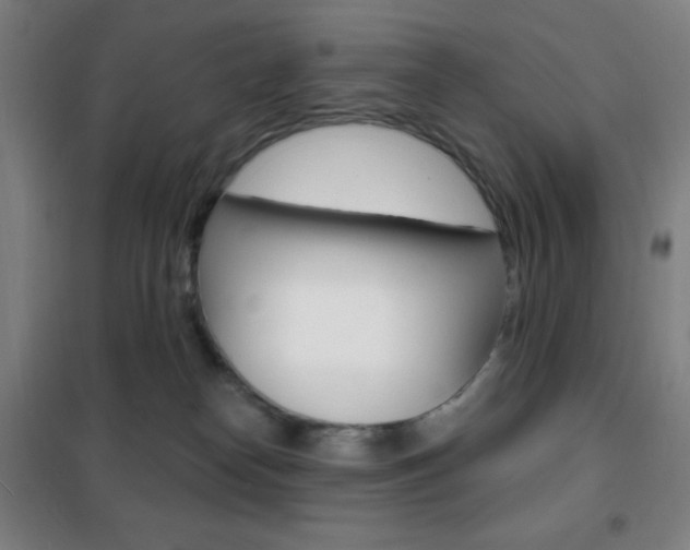 X0000101700182200807101354