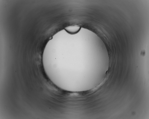 X0000101700183200807101354