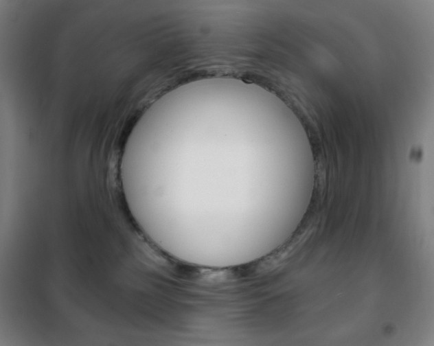 X0000101700185200807101354