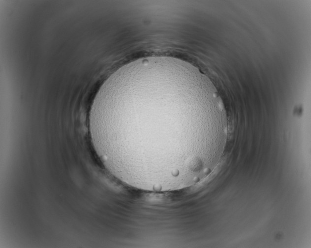 X0000101700187200807101354