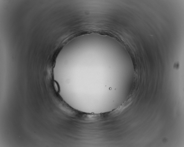 X0000101700188200807101354