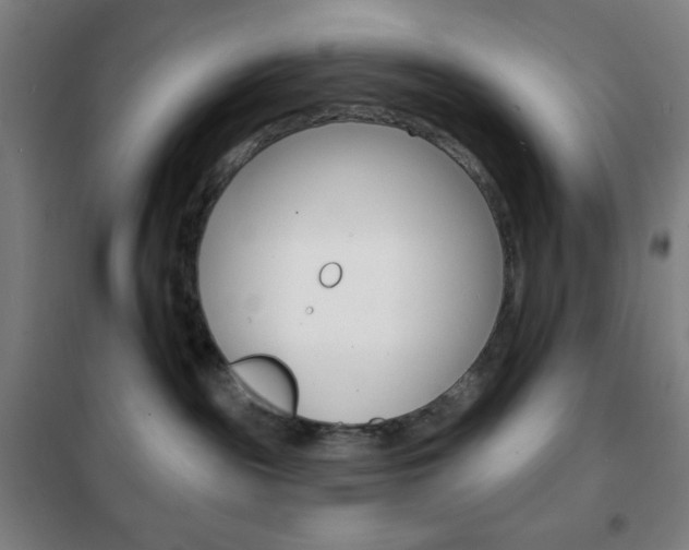 X0000101700189200807101354