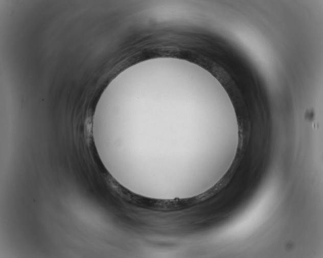 X0000101700190200807101354