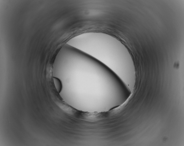 X0000101700191200807101354