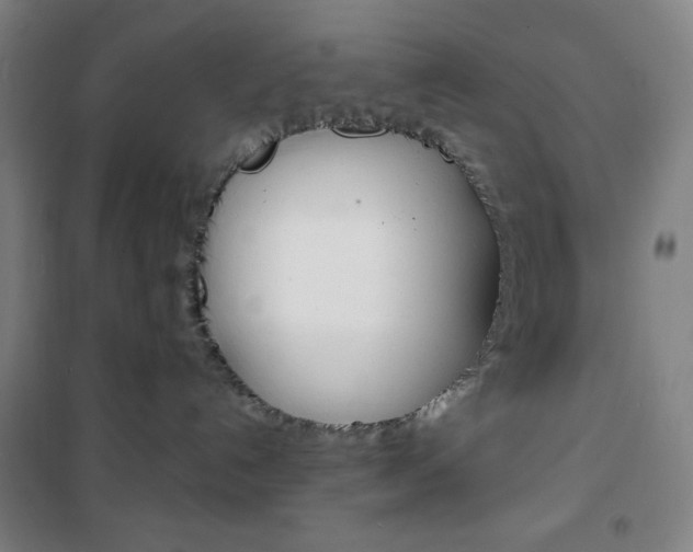 X0000101700192200807101354