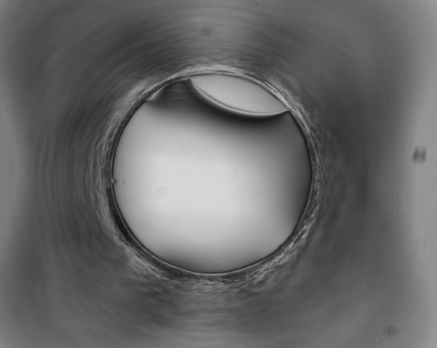 X0000101700193200807101353