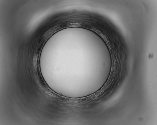 X0000101700194200807101353