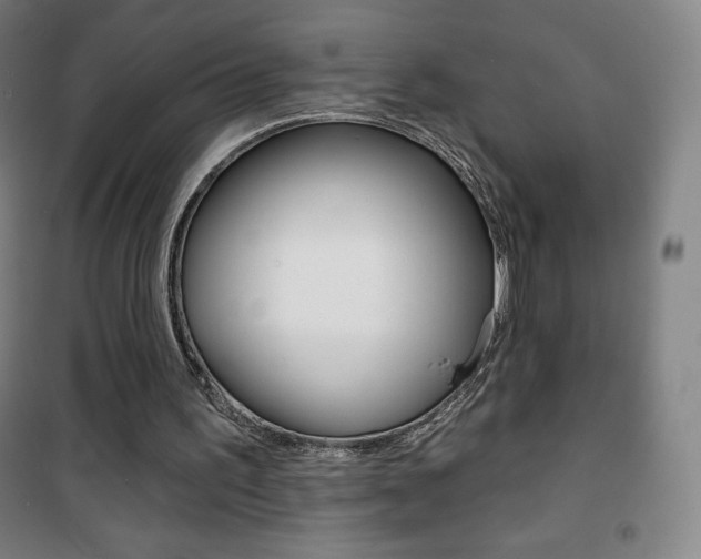 X0000101700195200807101353