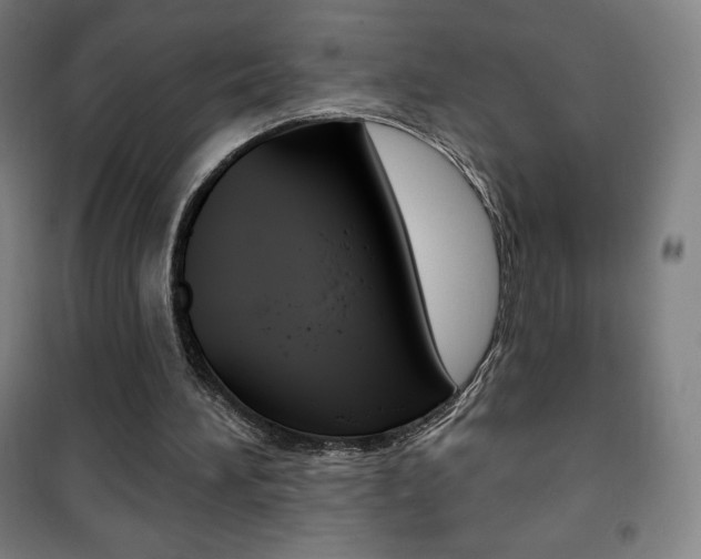 X0000101700196200807101353