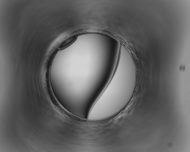 X0000101700197200807101353
