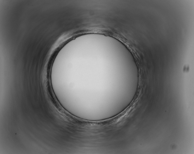 X0000101700198200807101353