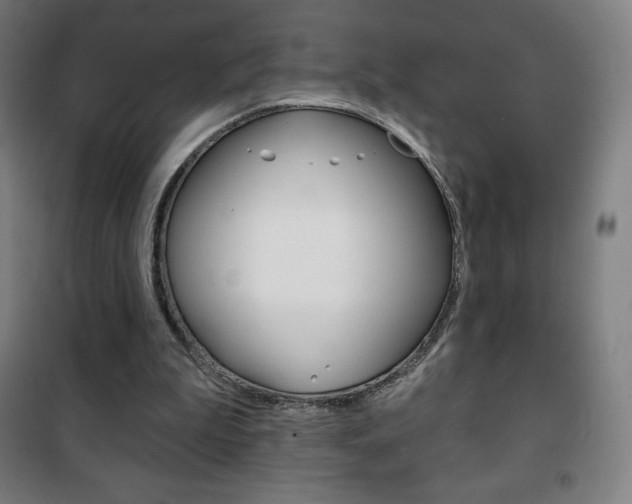 X0000101700199200807101353