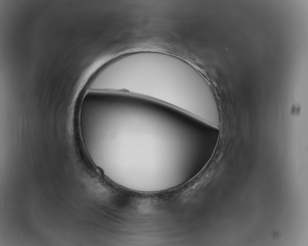 X0000101700200200807101353