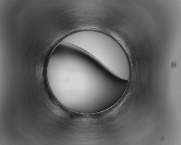 X0000101700201200807101353