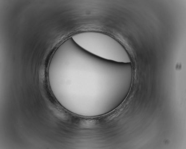 X0000101700202200807101353