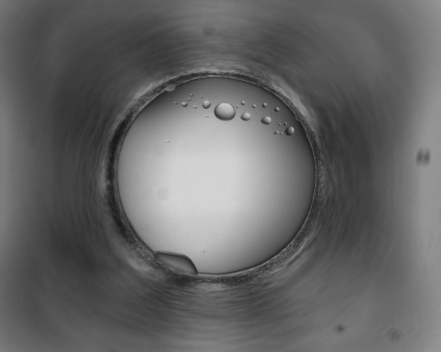 X0000101700203200807101353