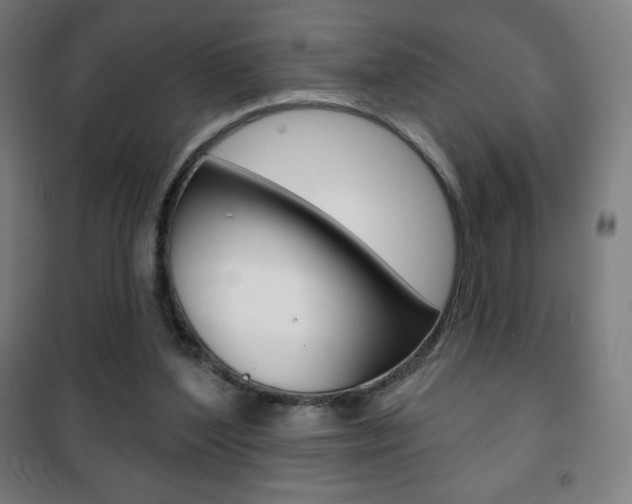 X0000101700204200807101353