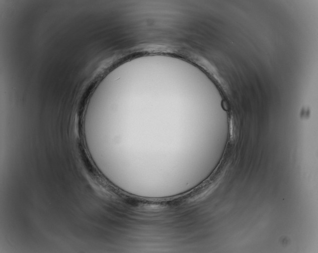 X0000101700205200807101353