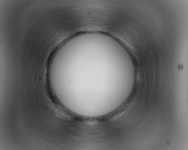 X0000101700206200807101353