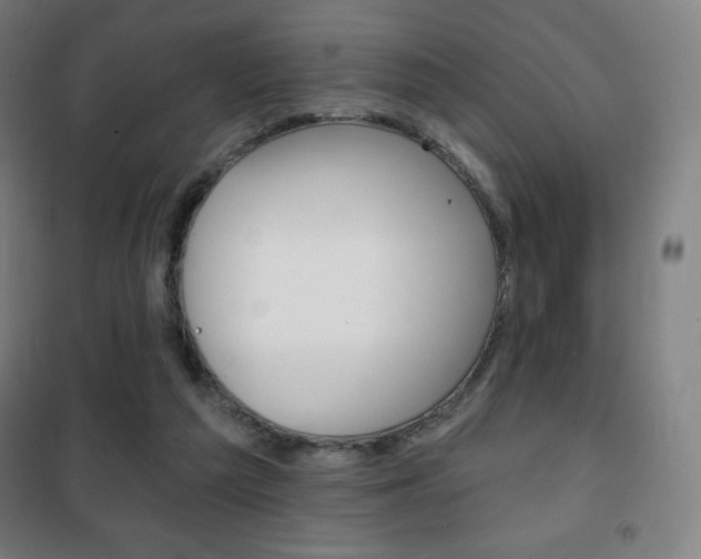 X0000101700209200807101353