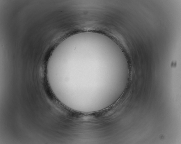 X0000101700210200807101353