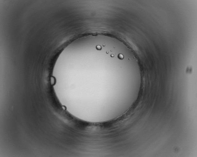 X0000101700211200807101353